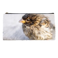 Funny Wet Sparrow Bird Pencil Cases by FunnyCow