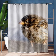 Funny Wet Sparrow Bird Shower Curtain 60  X 72  (medium)  by FunnyCow