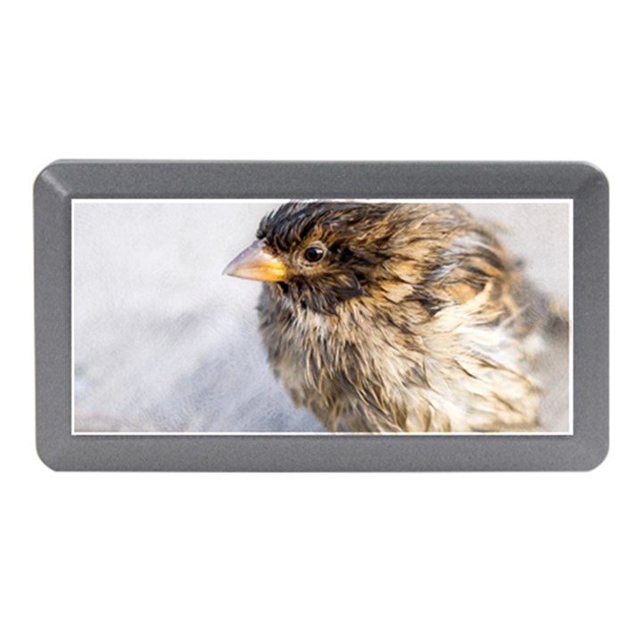 Funny Wet Sparrow Bird Memory Card Reader (Mini)