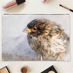 Funny Wet Sparrow Bird Cosmetic Bag (xxl) by FunnyCow