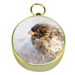 Funny Wet Sparrow Bird Gold Compasses by FunnyCow