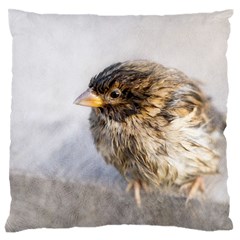 Funny Wet Sparrow Bird Large Flano Cushion Case (one Side) by FunnyCow