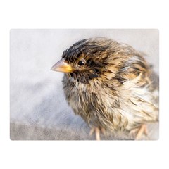 Funny Wet Sparrow Bird Double Sided Flano Blanket (mini)  by FunnyCow