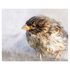 Funny Wet Sparrow Bird Double Sided Flano Blanket (medium)  by FunnyCow