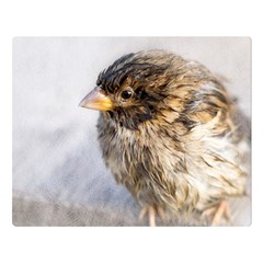 Funny Wet Sparrow Bird Double Sided Flano Blanket (large)  by FunnyCow