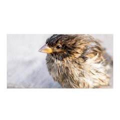 Funny Wet Sparrow Bird Satin Wrap by FunnyCow