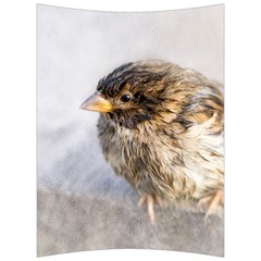 Funny Wet Sparrow Bird Back Support Cushion by FunnyCow