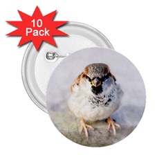 Do Not Mess With Sparrows 2 25  Buttons (10 Pack)  by FunnyCow