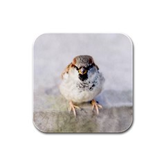 Do Not Mess With Sparrows Rubber Square Coaster (4 Pack)  by FunnyCow