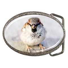 Do Not Mess With Sparrows Belt Buckles by FunnyCow