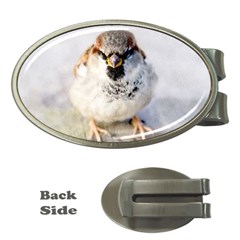 Do Not Mess With Sparrows Money Clips (oval)  by FunnyCow