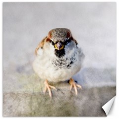 Do Not Mess With Sparrows Canvas 12  X 12   by FunnyCow