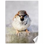 Do Not Mess With Sparrows Canvas 18  x 24   17.8 x23.08  Canvas - 1