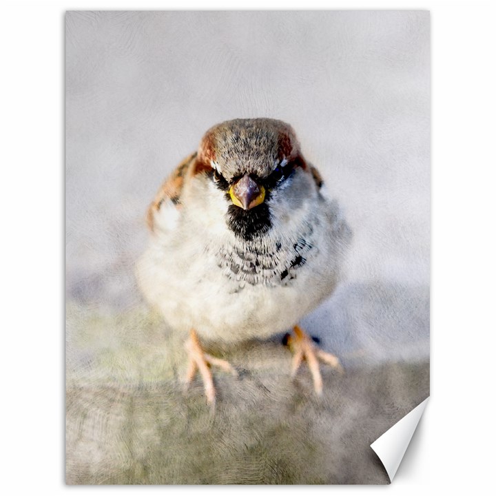 Do Not Mess With Sparrows Canvas 18  x 24  