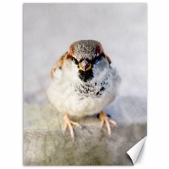 Do Not Mess With Sparrows Canvas 36  X 48   by FunnyCow