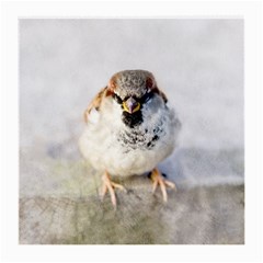 Do Not Mess With Sparrows Medium Glasses Cloth (2-side) by FunnyCow