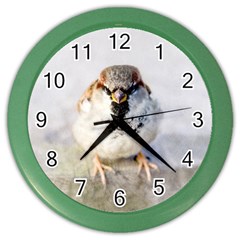 Do Not Mess With Sparrows Color Wall Clock by FunnyCow