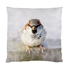 Do Not Mess With Sparrows Standard Cushion Case (one Side) by FunnyCow