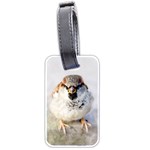 Do Not Mess With Sparrows Luggage Tags (Two Sides) Back