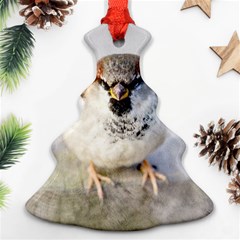 Do Not Mess With Sparrows Christmas Tree Ornament (two Sides) by FunnyCow