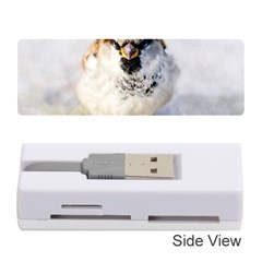 Do Not Mess With Sparrows Memory Card Reader (stick) by FunnyCow