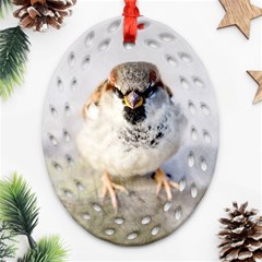 Do Not Mess With Sparrows Oval Filigree Ornament (two Sides) by FunnyCow