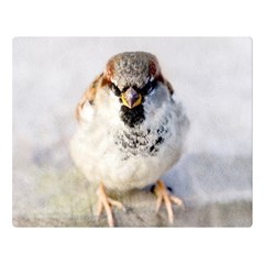 Do Not Mess With Sparrows Double Sided Flano Blanket (large)  by FunnyCow