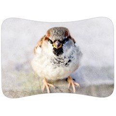 Do Not Mess With Sparrows Velour Seat Head Rest Cushion