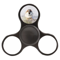 Do Not Mess With Sparrows Finger Spinner