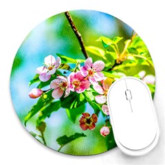 Crab Apple Flowers Round Mousepads by FunnyCow