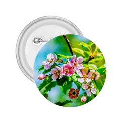 Crab Apple Flowers 2 25  Buttons by FunnyCow