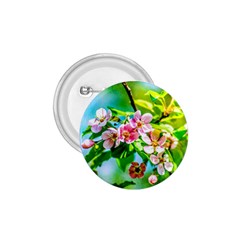 Crab Apple Flowers 1 75  Buttons by FunnyCow