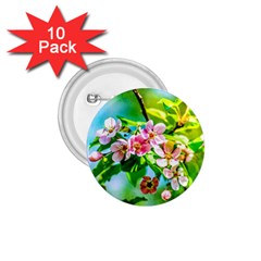 Crab Apple Flowers 1 75  Buttons (10 Pack) by FunnyCow