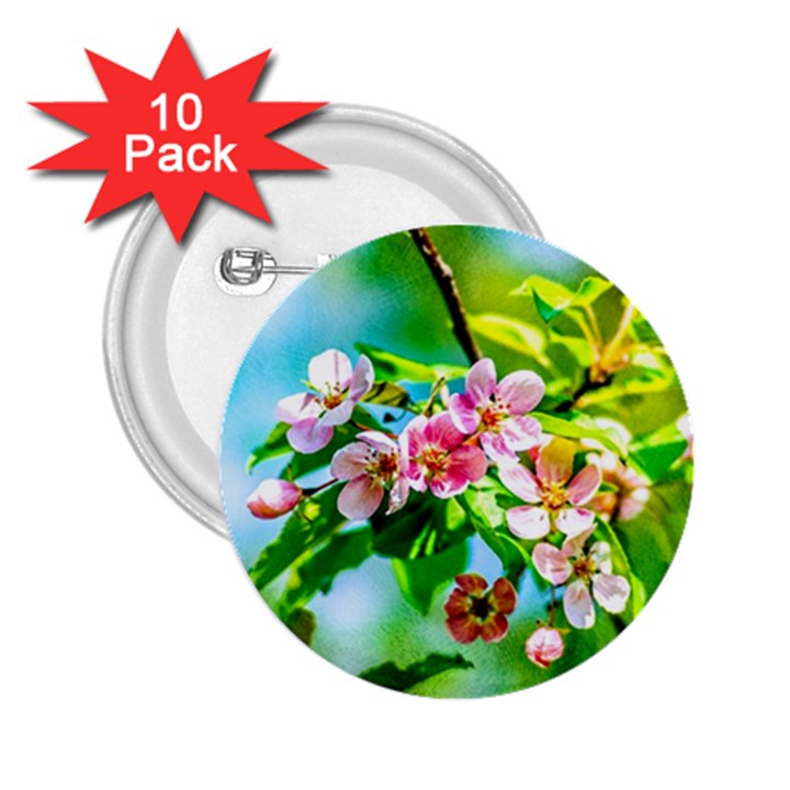 Crab Apple Flowers 2.25  Buttons (10 pack) 