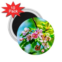 Crab Apple Flowers 2 25  Magnets (10 Pack)  by FunnyCow