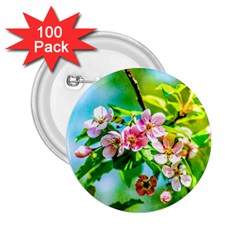 Crab Apple Flowers 2 25  Buttons (100 Pack)  by FunnyCow