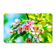 Crab Apple Flowers Magnet (rectangular) by FunnyCow