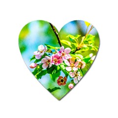 Crab Apple Flowers Heart Magnet by FunnyCow