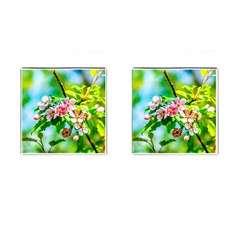 Crab Apple Flowers Cufflinks (square) by FunnyCow