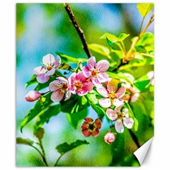 Crab Apple Flowers Canvas 8  X 10  by FunnyCow