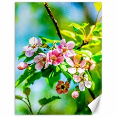 Crab Apple Flowers Canvas 12  X 16   by FunnyCow