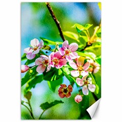 Crab Apple Flowers Canvas 12  X 18   by FunnyCow