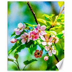 Crab Apple Flowers Canvas 16  X 20   by FunnyCow