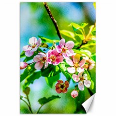 Crab Apple Flowers Canvas 20  X 30   by FunnyCow