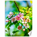 Crab Apple Flowers Canvas 36  x 48   35.26 x46.15  Canvas - 1