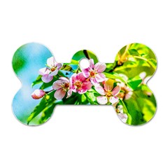 Crab Apple Flowers Dog Tag Bone (one Side) by FunnyCow