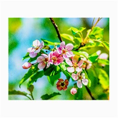 Crab Apple Flowers Small Glasses Cloth (2-side) by FunnyCow