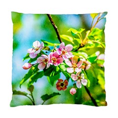 Crab Apple Flowers Standard Cushion Case (one Side) by FunnyCow