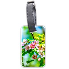 Crab Apple Flowers Luggage Tags (one Side)  by FunnyCow