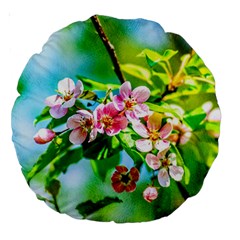 Crab Apple Flowers Large 18  Premium Round Cushions by FunnyCow